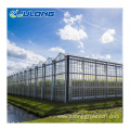 Hydroponic Vegetable Planting Glass Greenhouse